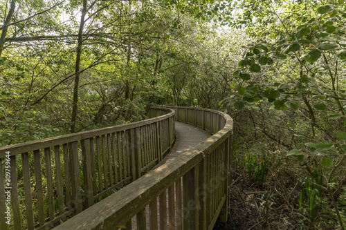 Geschlängelte Brücke