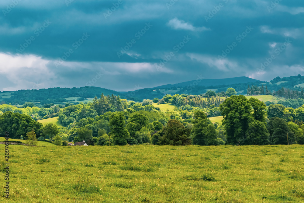 The countryside in Dartmoor