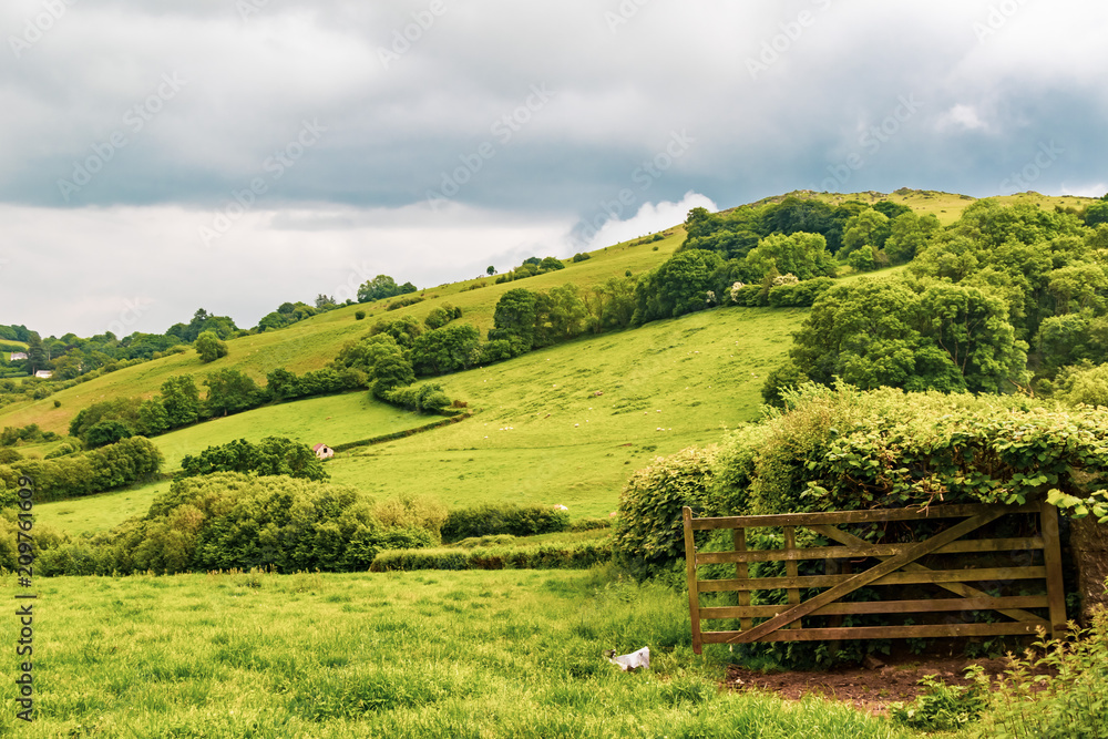 Obraz premium The countryside in Dartmoor