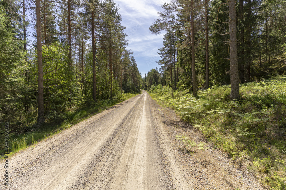 Natur Reservat Glaskogen Schweden