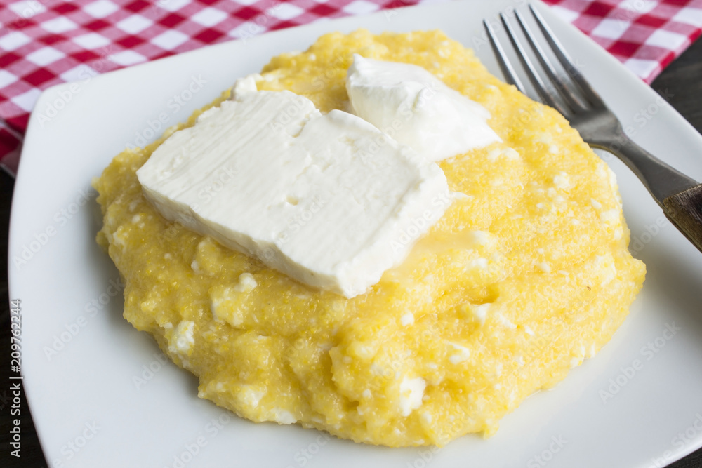 Polenta with Cheese and Sour Cream in a Plate Polenta with Cheese and Sour Cream in a Plate