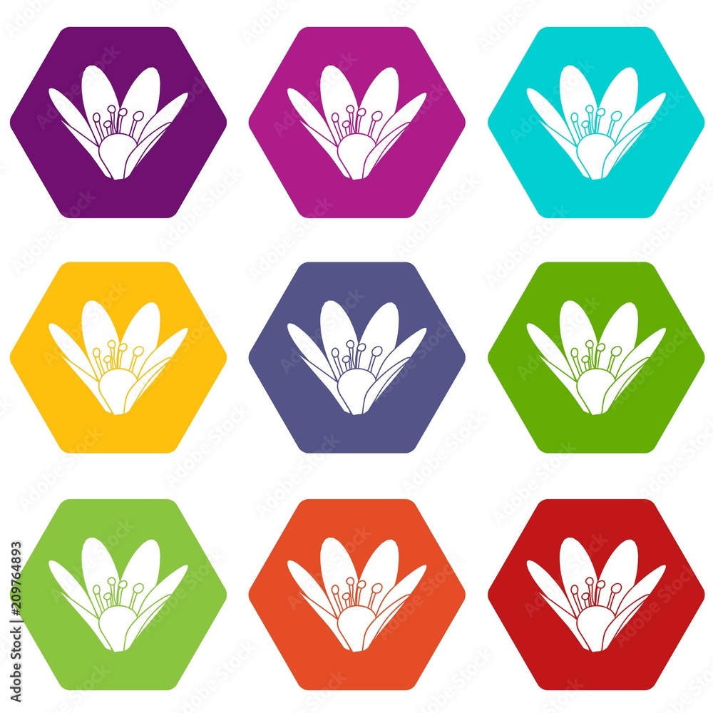 Fototapeta premium Eco flower icons 9 set coloful isolated on white for web