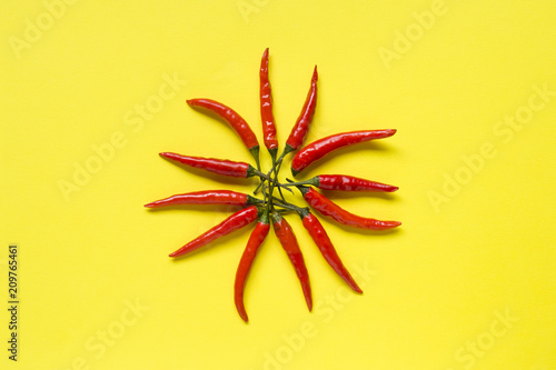 Red chili pepper pods on bright yellow background