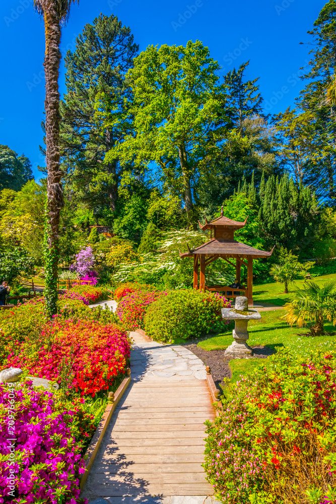 Fototapeta Japoński ogród w środku posiadłości Powerscourt w Irlandii