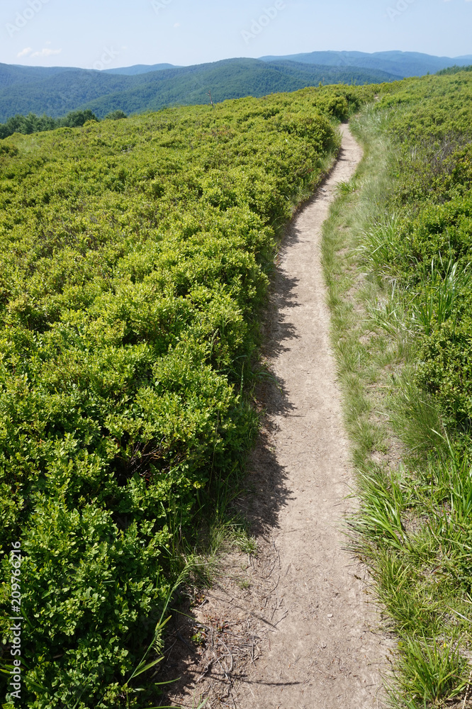 Fototapeta premium Bieszczady Mountains in Poland
