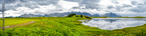 Panoramic view of beautiful meadows field of grass and flowers near Hofn, Iceland