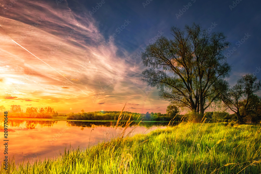 amazing landscape of summer nature on river shore at sunset with colorful cloudy sky. Perfect scene large tree on grassy bank of lake. Grass glowing on warm sunlight in the evening.