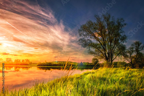 Obraz na płótnie amazing landscape of summer nature on river shore at sunset with colorful cloudy sky. Perfect scene large tree on grassy bank of lake. Grass glowing on warm sunlight in the evening. w salonie
