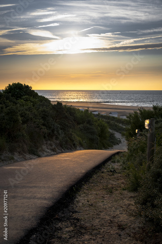 Path through the dunes © Jan
