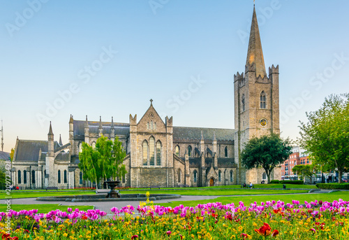 Canvas Print Night view of the St. Patrick's Cathedral in Dublin, Ireland