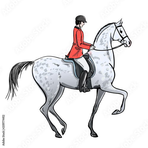 Rider man and dapple grey horse on white. Horseman in red jacket on stallion. England equestrian sport style. Hand drawing vector cartoon illustration.