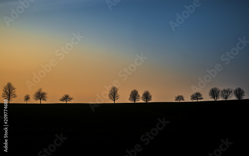 Fototapeta Naklejka Na Ścianę i Meble -  Blue and orange sky with tree silhouettes