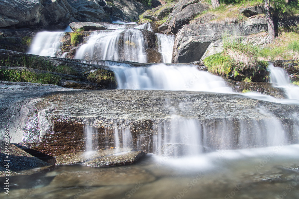 Fototapeta premium DSC 0124