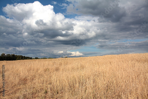 Russian summer