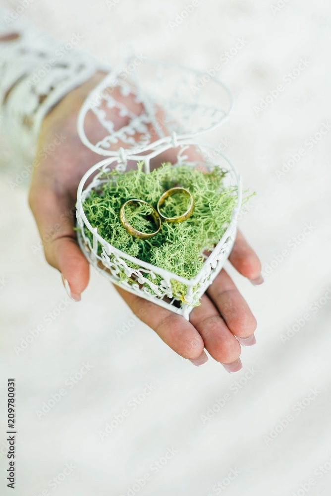 Wedding rings in a box filled with moss on the green grass
