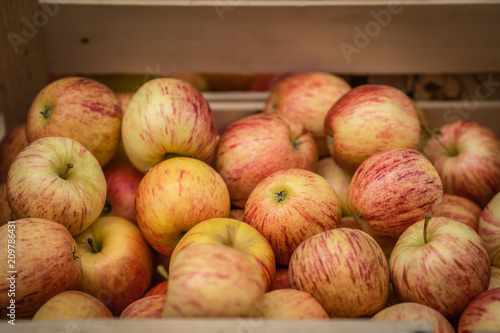 Red and yellow apples for sale