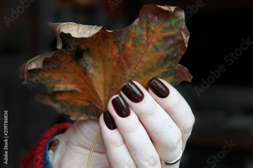 Woman's hand with elegant manicure holding dried maple leaf on the dark background.