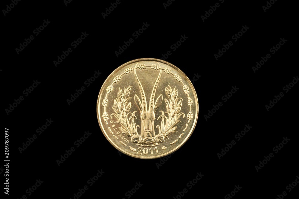 A close up image of a 5 West African franc coin isolated on a black background A close up image of a 5 West African franc coin isolated on a black background