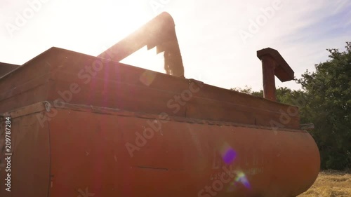 Thresher unloading wheat in the truck tractor trailer in golden field photo