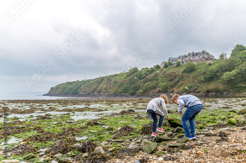 Pemrokeshire coast in Fishguard, Wales photo