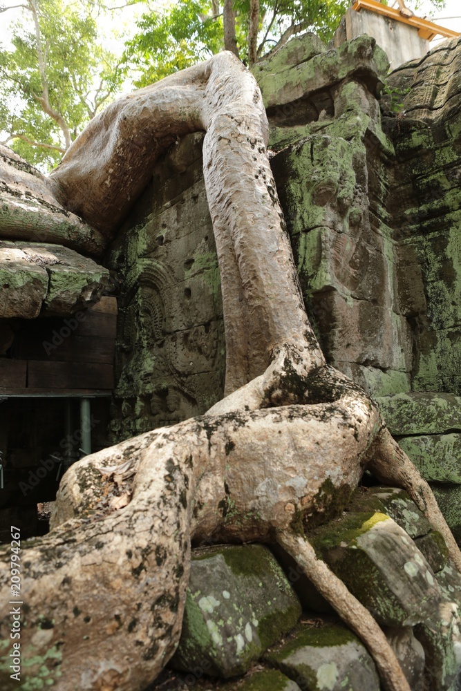 Obraz premium Temple Khmer d'Angkor