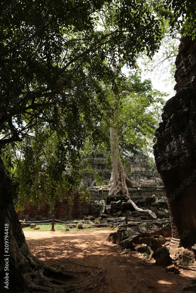 Fototapeta premium Temple Khmer d'Angkor