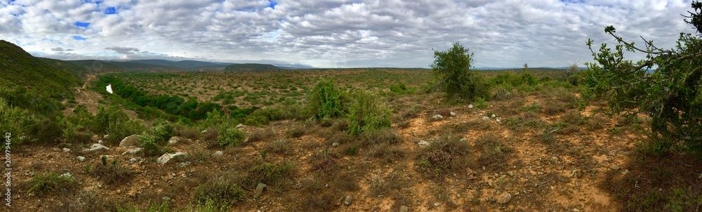 Fototapeta premium Africa scenery 