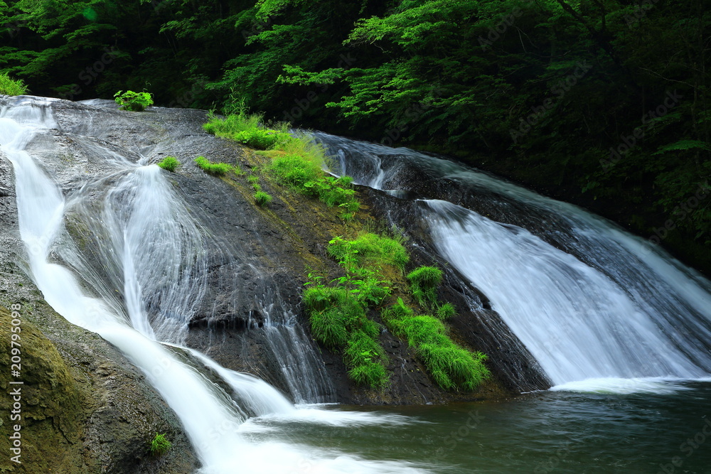 Fototapeta premium 夏の釜淵の滝