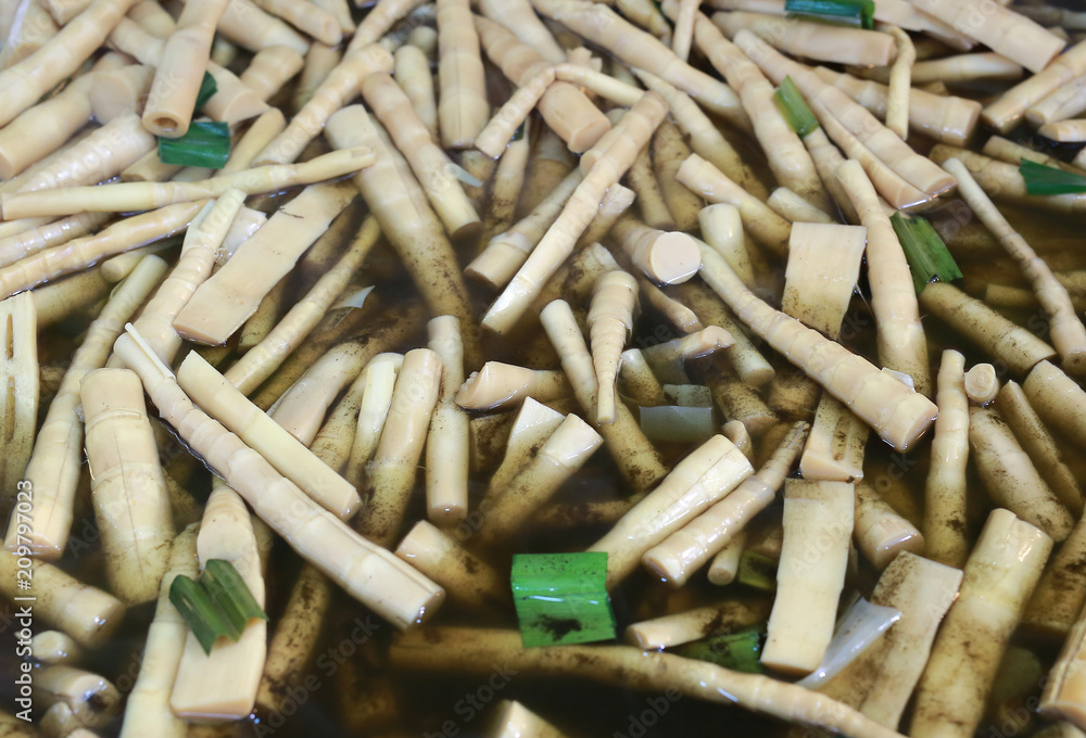 Boiled bamboo shoots in big pot. Boiled bamboo shoots in big pot.