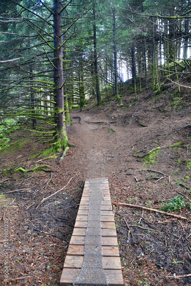 Obraz premium Near Island walking path