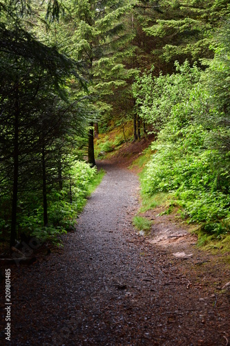 Near island path long