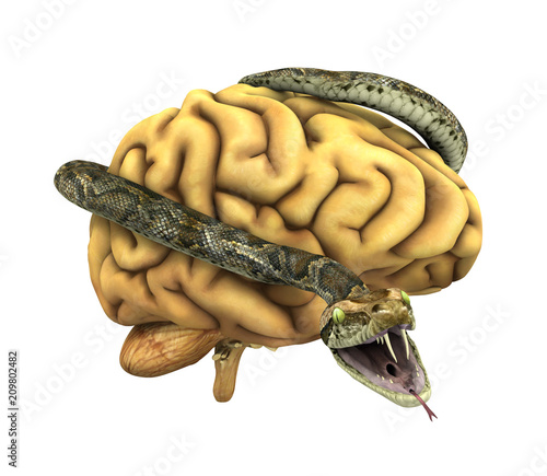 фотографія Snake Wrapped Around a Brain
