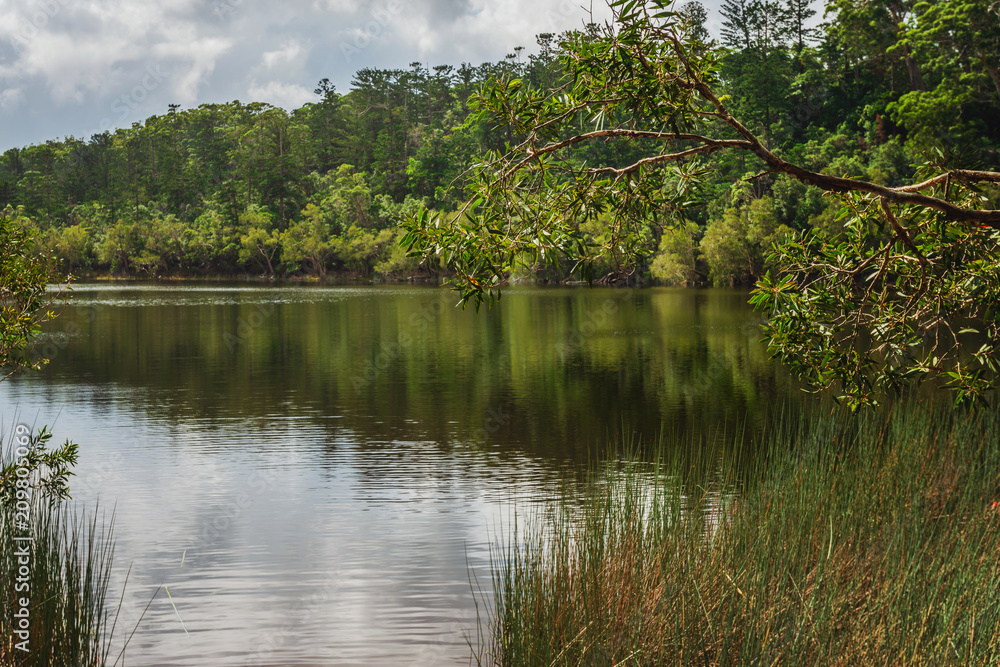 Fototapeta premium freshwater lake on Fraser island
