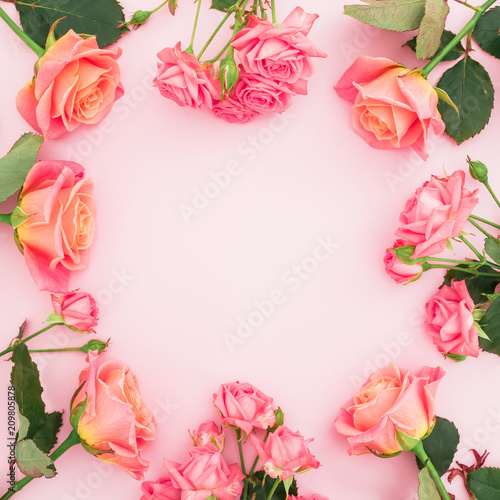 Floral frame of pink roses, buds and green leaves on pink background. Flat lay, top view. Summer background
