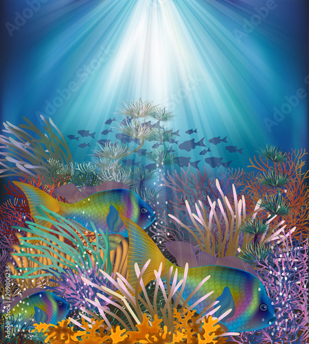 Fototapeta Naklejka Na Ścianę i Meble -  Underwater card with tropical fish, vector illustration