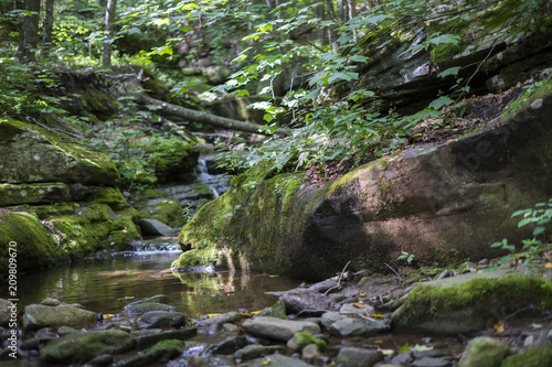 Little stream in the mountains 