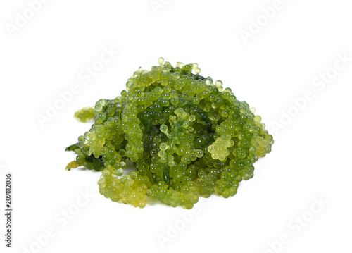 Algae grape bunch healthy food on white backgrond