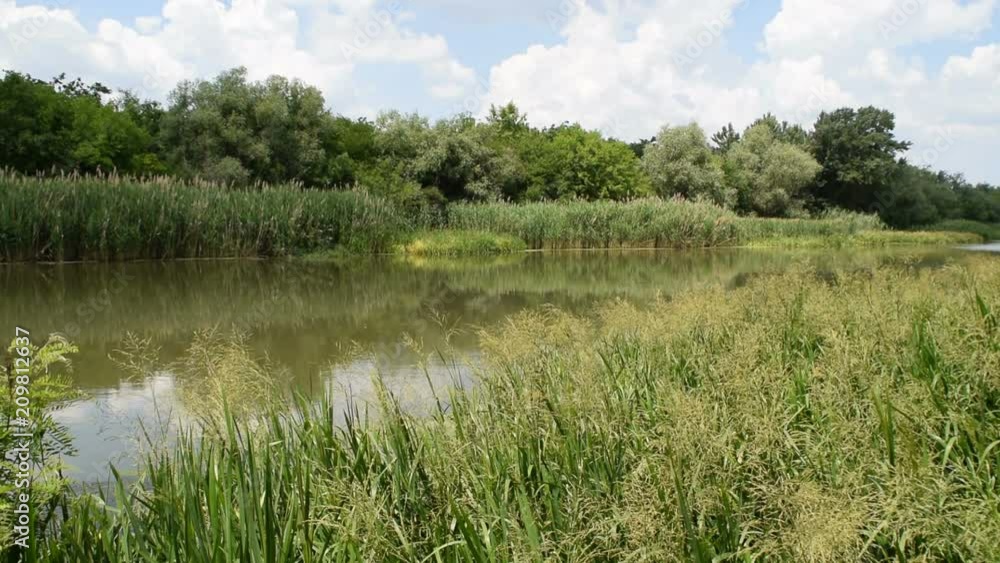 3 in 1 green nature around the river while the sunny day becomes tired 3 in 1 green nature around the river while the sunny day becomes tired