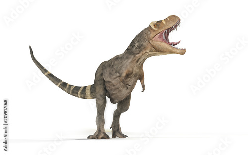 Valokuva Tyrannosaurus Rex on white background -