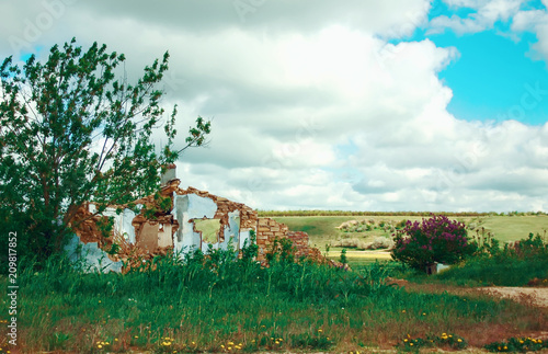 ruins of an old abandoned house in the summer landscape, color photo