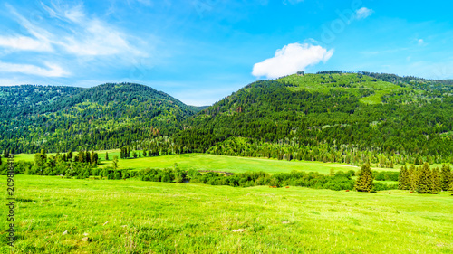 Fototapeta Naklejka Na Ścianę i Meble -  Farm fields, meadows and mountains along the Heffley-Louis Creek Road between Whitecroft and Barierre in the Shuswap Highlands of British Columbia, Canada
