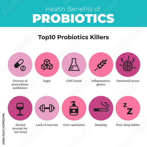 Probiotics health benefits vector infographic. Flat stroke illustration about nutrient rich food and how probiotics influences human body. Top 10 probiotics killer.