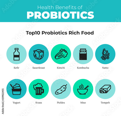Probiotics health benefits vector infographic. Flat stroke illustration about nutrient rich food and how probiotics influences human body. Top 10 probiotics rich food.