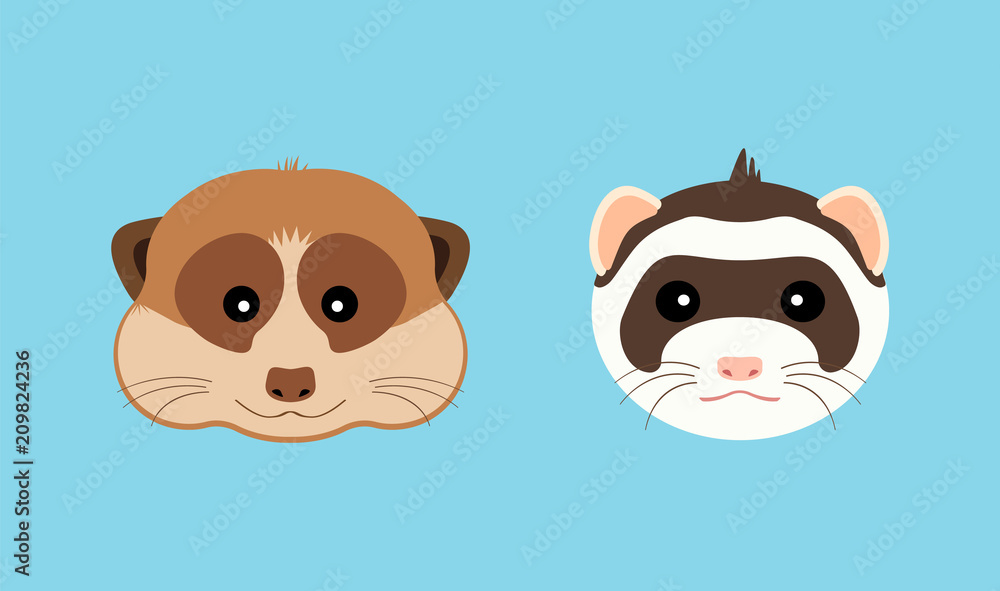 Cute ferret and meerkat muzzle. Vector flat design illustration. Cute ferret and meerkat muzzle. Vector flat design illustration.