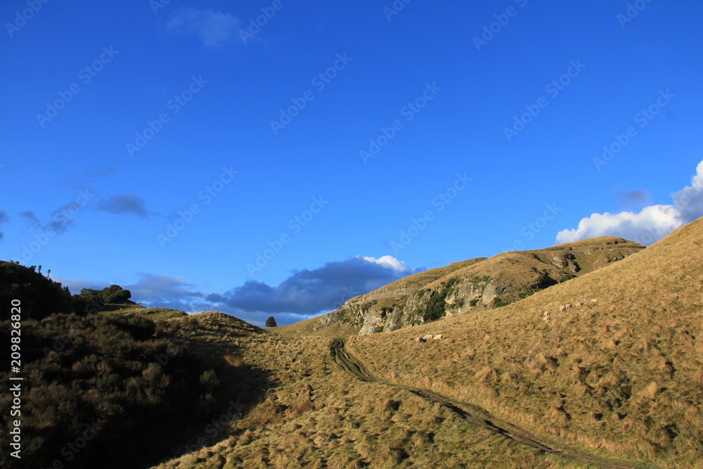 Te Mata Peak, New Zealand Te Mata Peak, New Zealand