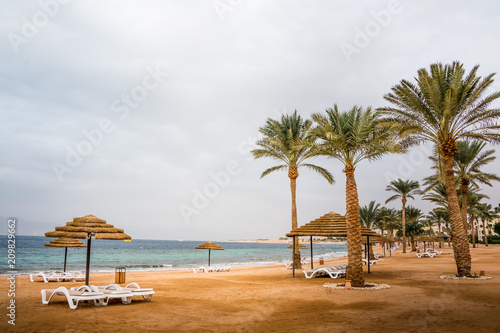 Beach with palms and umbrellas in a Windy and cloudy day © keleny