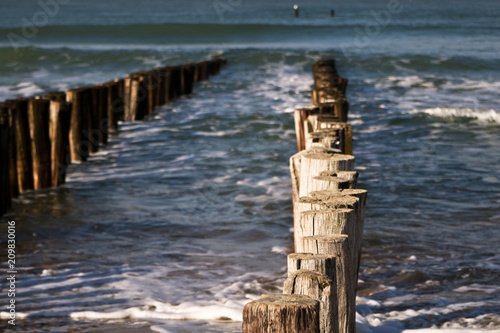 Buhnen, niederländische Nordseeküste photo