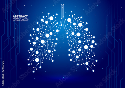 Abstract human lung vector with dots and lines photo