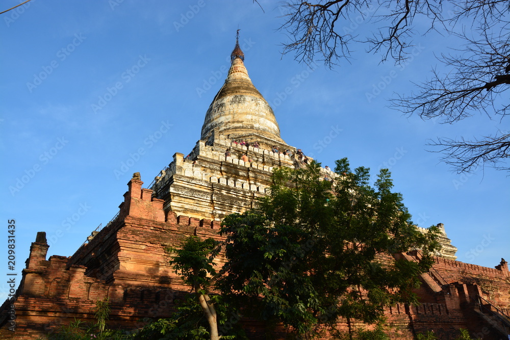 Fototapeta premium ミャンマーバガンのシュエサンドーパゴダ