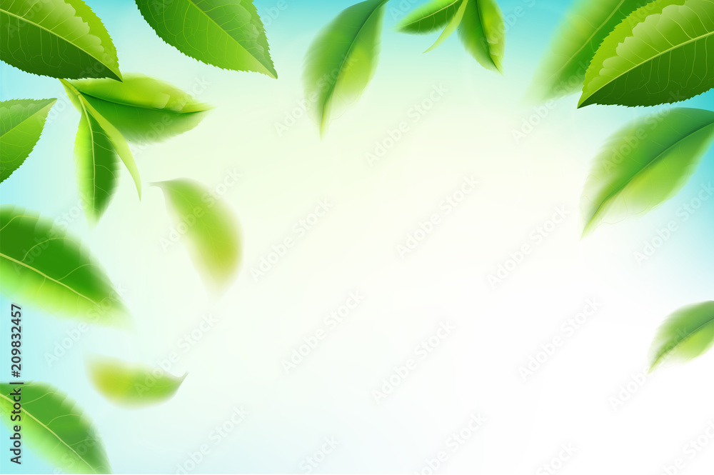 green tea leaves in motion on sky background. green tea leaves in motion on sky background.